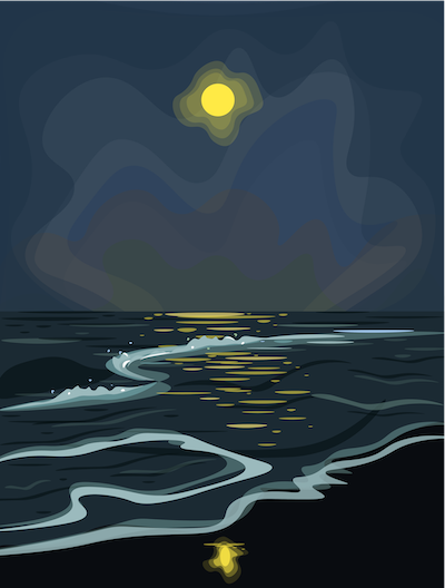 vector drawing of a beach at night